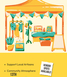 Summer in the Park Craft and Gift Market
