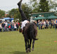 Eastrington Show
