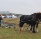 Heavy Horse Ploughing Match &amp; Country Fair
