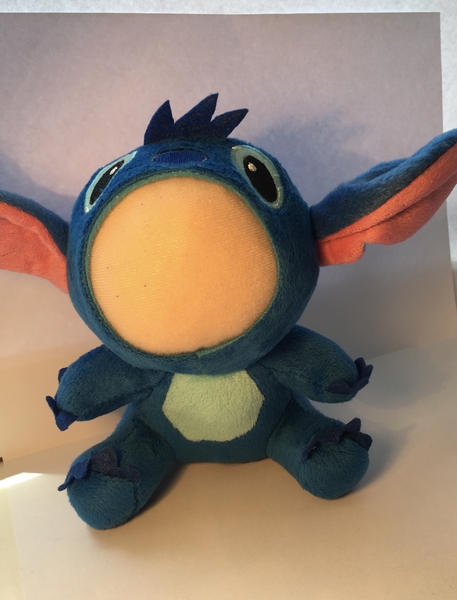 personalised stitch teddy