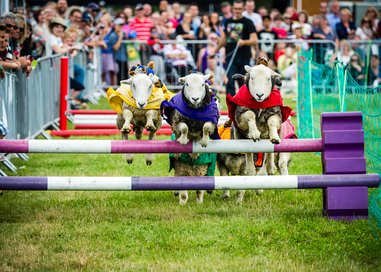 The UK&#39;s Biggest Pet Show Returns In August With A Packed Programme And Hundreds Of Attractions