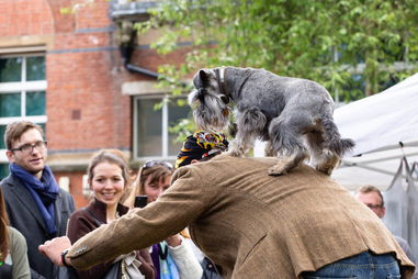 Dog Day Afternoon - St Marylebone Parish Church Grounds, London - Dress as Smartly as your Dog!